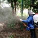 Medidas contra dengue, zika y chikungunya