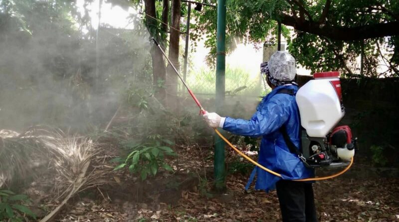 Medidas contra dengue, zika y chikungunya